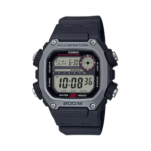 DW-291H-1AV
