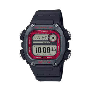 DW-291H-1BVDF