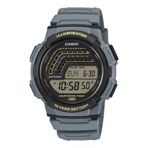 WS-1800-2AV Watch Icasiostore