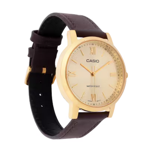 LTP-SN1GL-9A Watch icasiostore