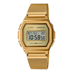 A1000MG-9 Watch icasiostore