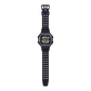 DW-291HX-1AV Watch icasiostore
