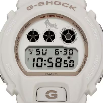 DW-6900SHB-7 Watch Icasiostore