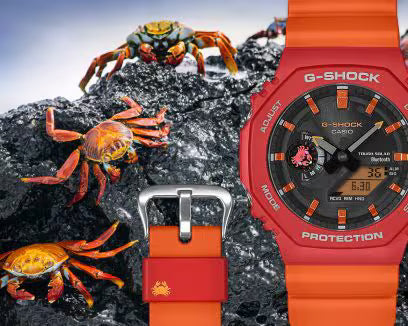 GA-B2100DF-4A Watch Icasiostore