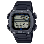 DW-291HX-1AV Watch icasiostore