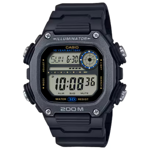 DW-291HX-1AV Watch icasiostore