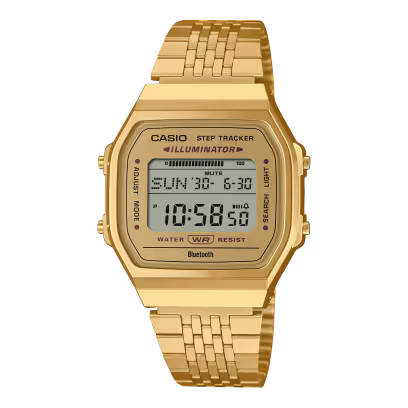 ABL-100WEG-9A Watch icasiostore