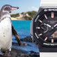 GA-B2100CD-1A7 Watch icasiostore