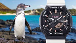 GA-B2100CD-1A7 Watch icasiostore