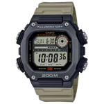 DW-291HX-5AV Watch icasiostore