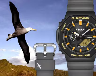 GA-B2100DF-1A Watch Icasiostore