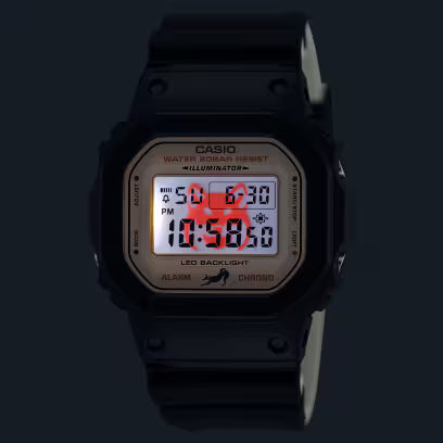 DW-5600SHB-1 Watch icasiostore