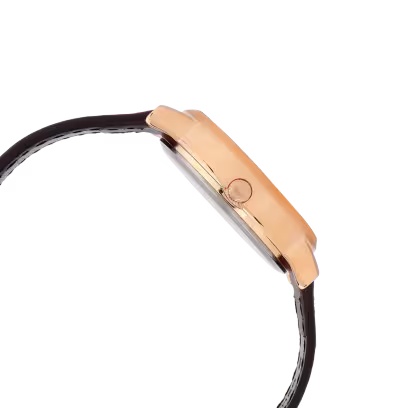 LTP-SN1RL-7A Watch icasiostore