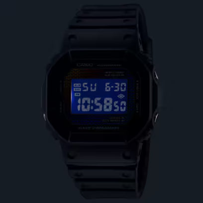 DW-5600RW-1 Watch icasiostore