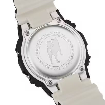 DW-5600SHB-1 Watch icasiostore