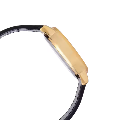 LTP-SN1GL-7A Watch icasiostore