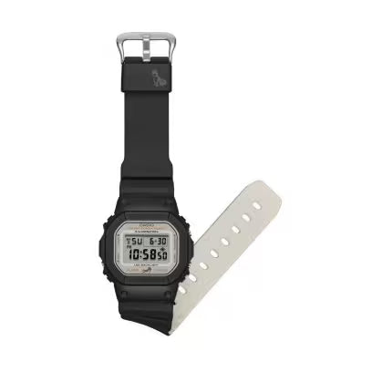 DW-5600SHB-1 Watch icasiostore