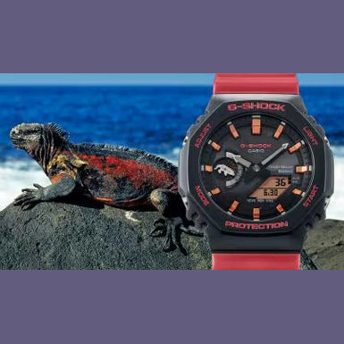 GA-B2100CD-1A4 Watch icasiostore