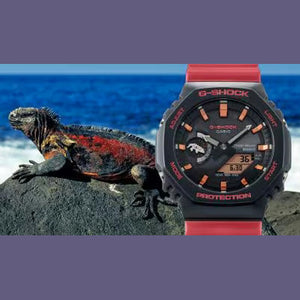 GA-B2100CD-1A4 Watch icasiostore