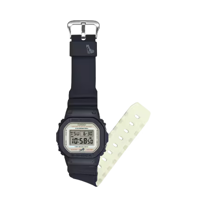 DW-5600SHB-1 Watch icasiostore