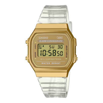 A168XESG-9A Watch icasiostore