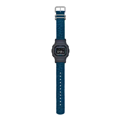 GW-BX5600CBG-2 Watch Icasiostore