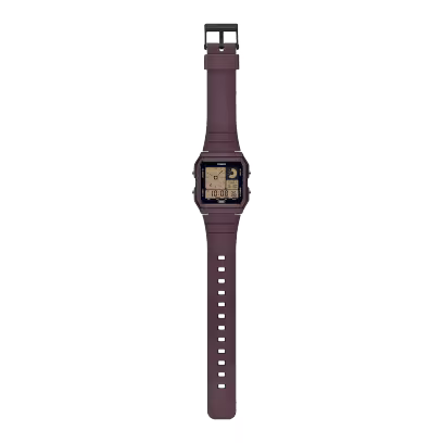 LF-20W-5A Watch icasiostore