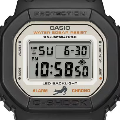 DW-5600SHB-1 Watch icasiostore