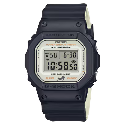 DW-5600SHB-1 Watch icasiostore