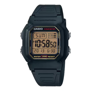 W-800HG-9AVDF
