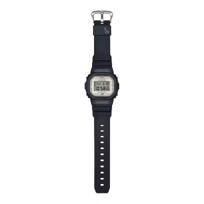 DW-5600SHB-1 Watch icasiostore