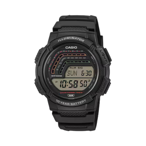 WS-1800-1AVDF