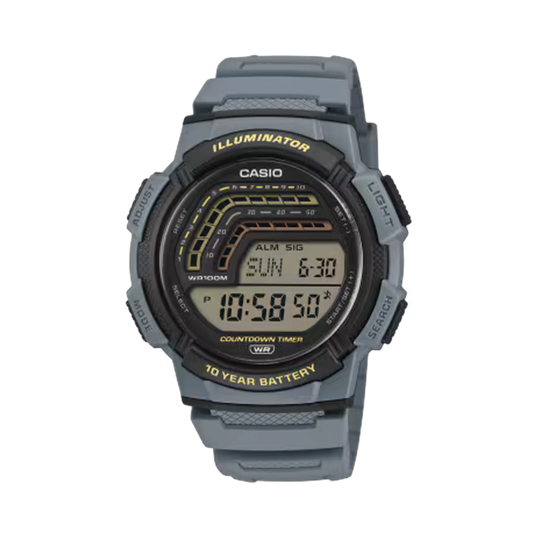 WS-1800-2AV