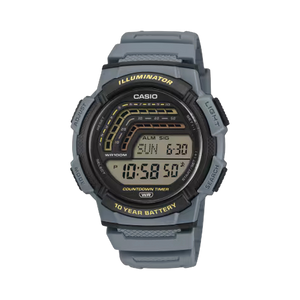 WS-1800-2AV